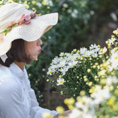 Check-in mùa hoa cỏ cuối năm dọc đất nước 4